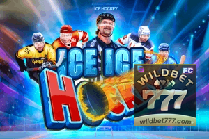 WILD BET777 feedback — categorias de sugestão e melhoria no app